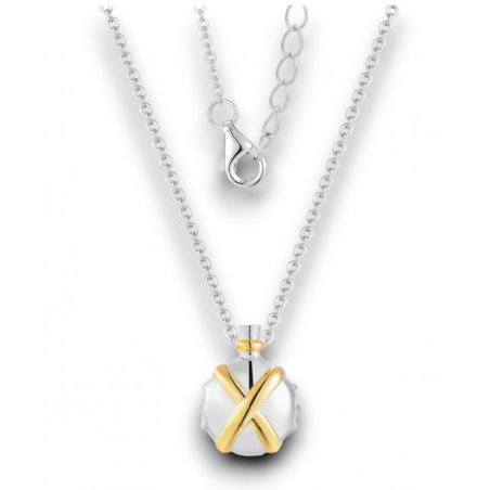 Collier Gourde Potion Magique Argent