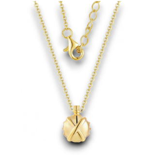 Collier Gourde Potion...