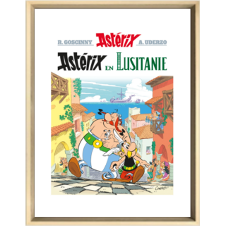 Digigraphie Asterix in...